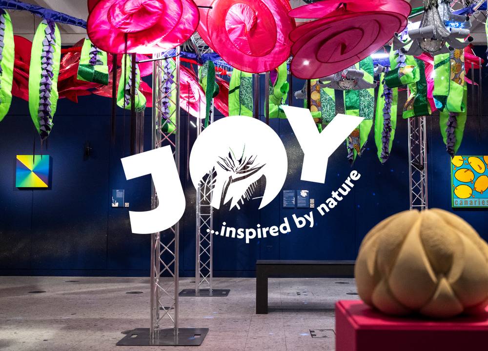 Read more about JOY begins!